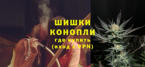 индика Лагань