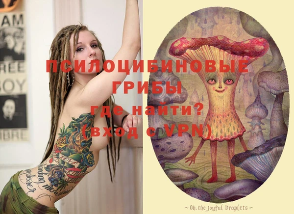 индика Лагань